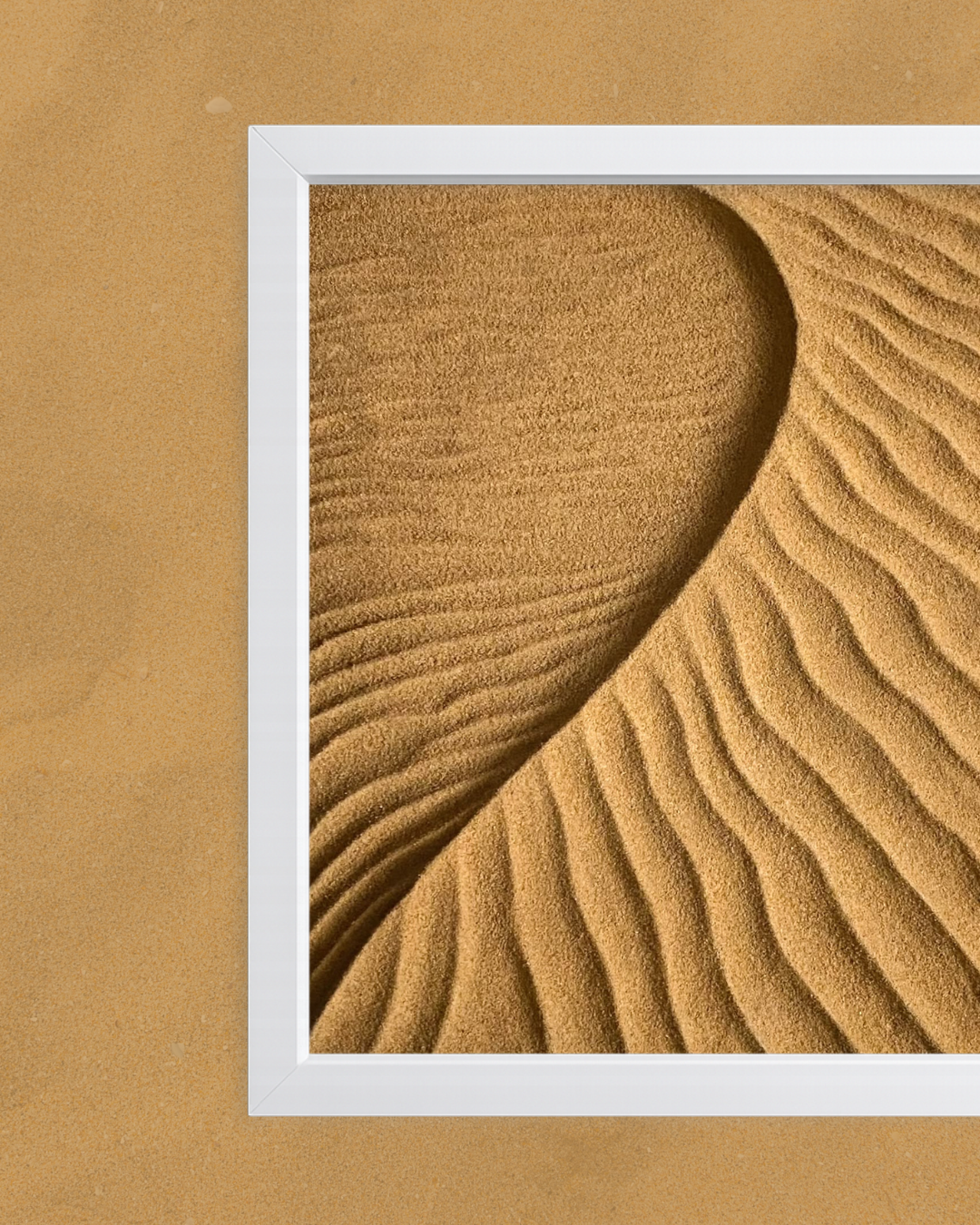 Dessert Dunes
